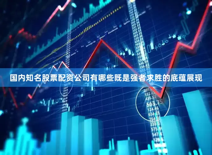国内知名股票配资公司有哪些既是强者求胜的底蕴展现
