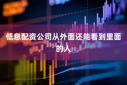 低息配资公司从外面还能看到里面的人