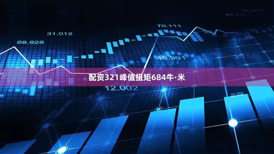 配资321峰值扭矩684牛·米